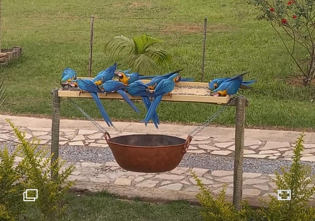 Pousada Canto Dos Passaros Alto Paraíso de Goiás Eksteriør billede