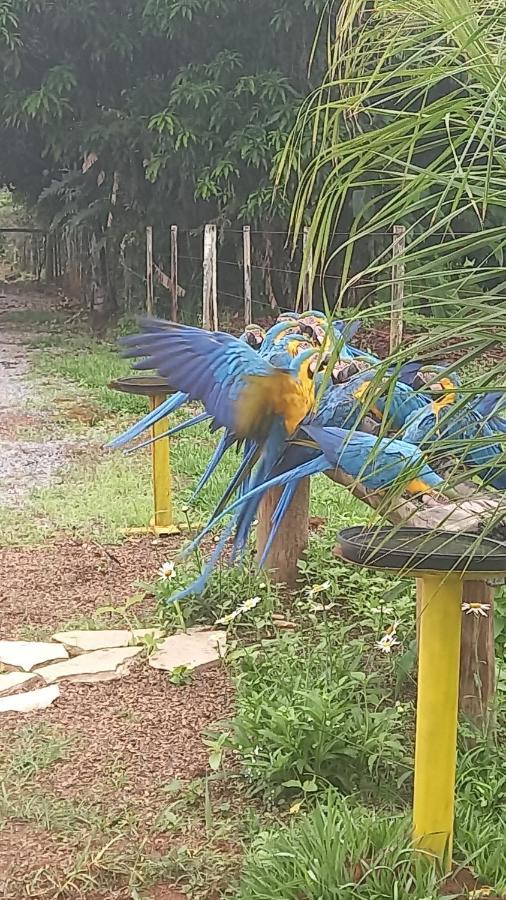 Pousada Canto Dos Passaros Alto Paraíso de Goiás Eksteriør billede